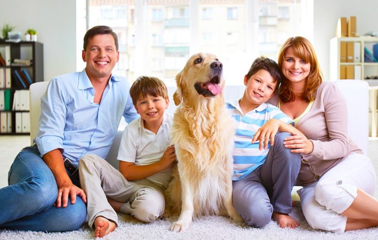 Indoor air quality testing makes family happy in Cary, NC